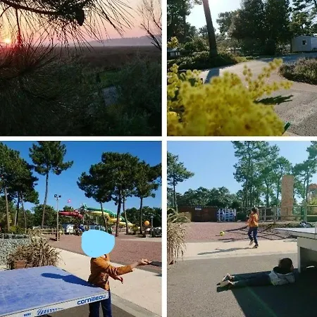 De 3 Avec Vue Sur La Piscine Partagee Et Jardin Clos A A 2 Km De La * Les Mathes